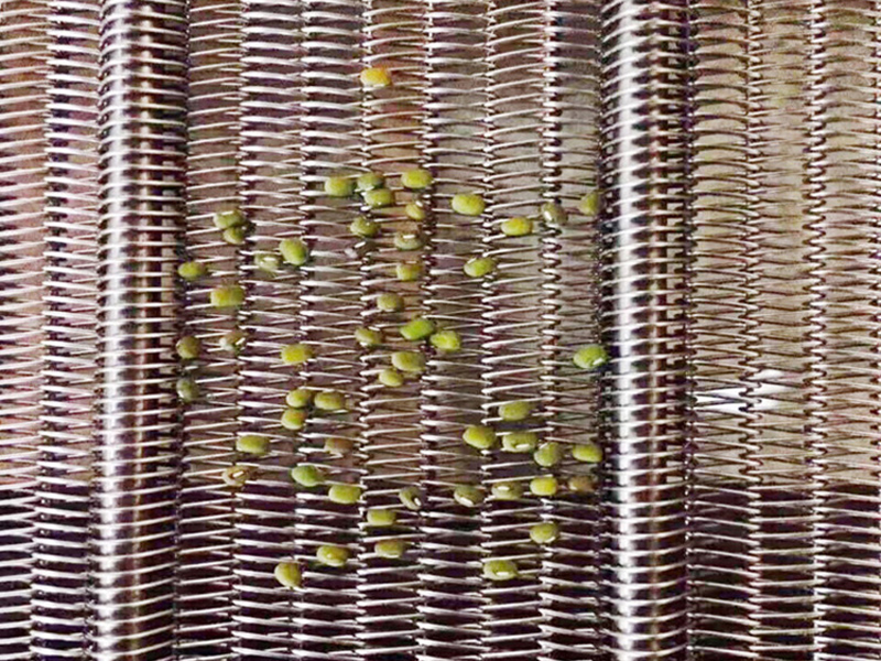 <b>食品网带</b>