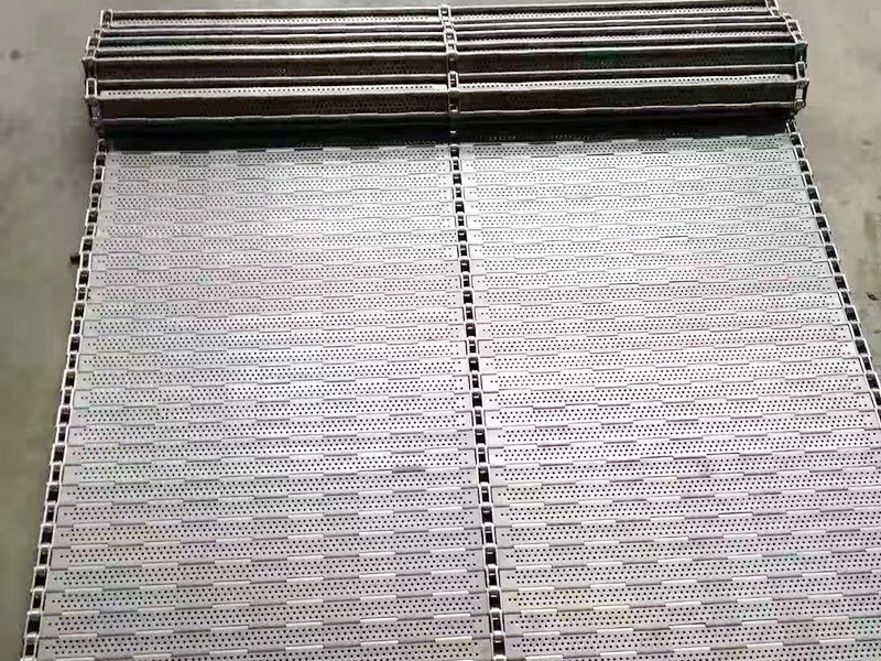 <b>不锈钢冲孔链板</b>