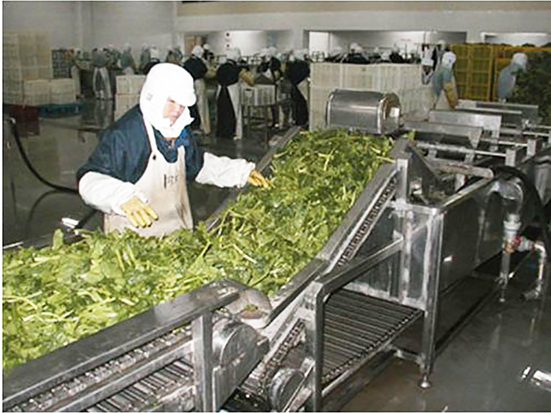 <b>Agricultural product</b>